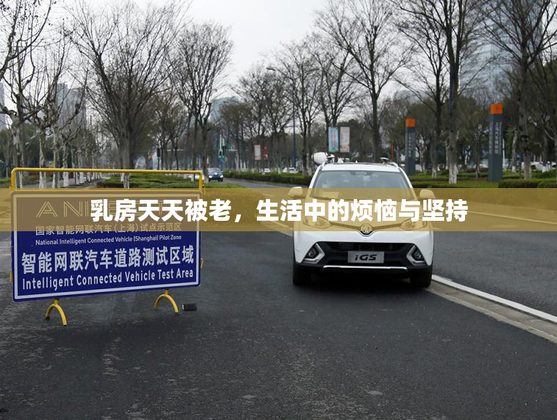 乳房天天被老，生活中的烦恼与坚持