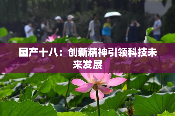 国产十八：创新精神引领科技未来发展