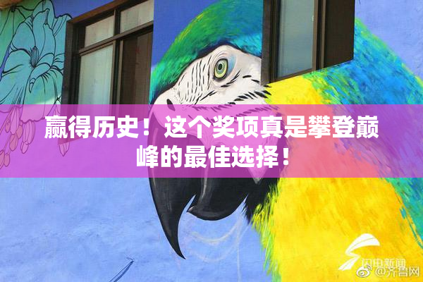 赢得历史！这个奖项真是攀登巅峰的最佳选择！