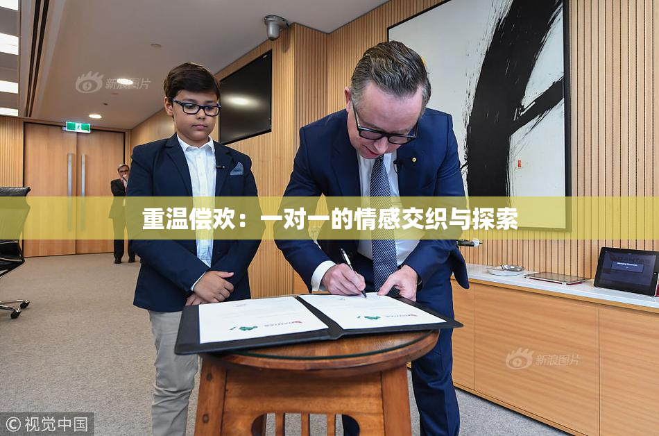 重温偿欢：一对一的情感交织与探索