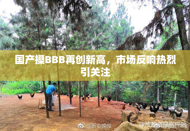 国产搡BBB再创新高，市场反响热烈引关注