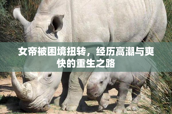 女帝被困境扭转，经历高潮与爽快的重生之路