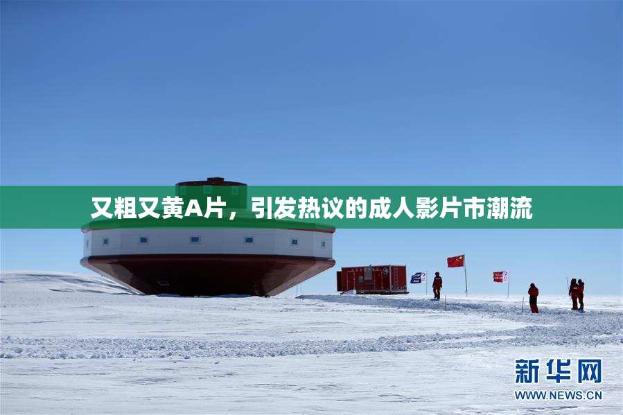 又粗又黄A片，引发热议的成人影片市潮流