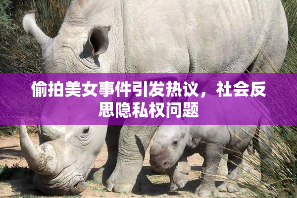 偷拍美女事件引发热议，社会反思隐私权问题