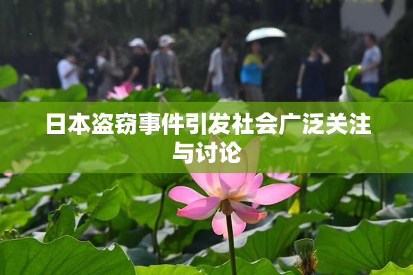 日本盗窃事件引发社会广泛关注与讨论