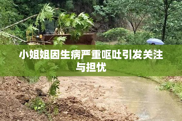小姐姐因生病严重呕吐引发关注与担忧