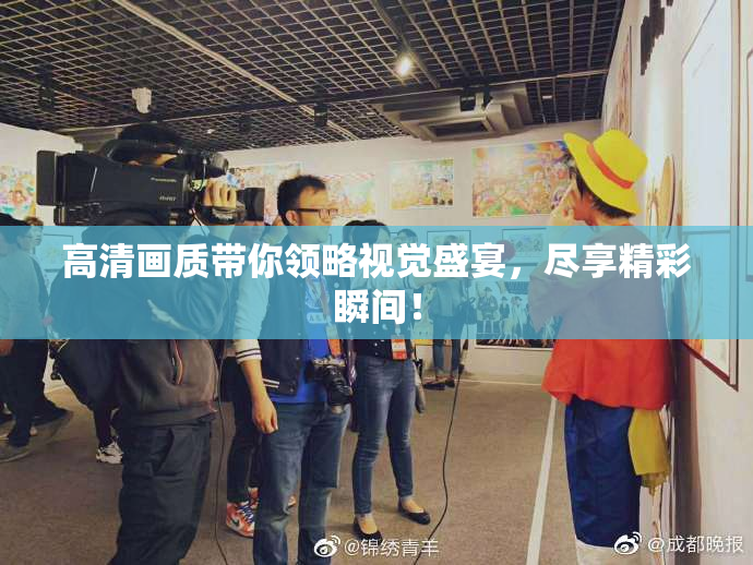 高清画质带你领略视觉盛宴，尽享精彩瞬间！