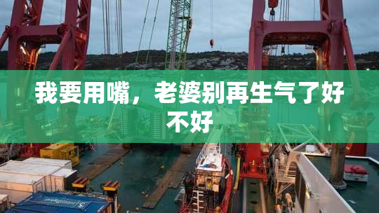 我要用嘴，老婆别再生气了好不好