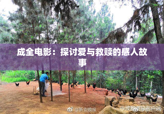 成全电影：探讨爱与救赎的感人故事