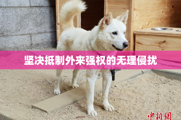 坚决抵制外来强权的无理侵扰