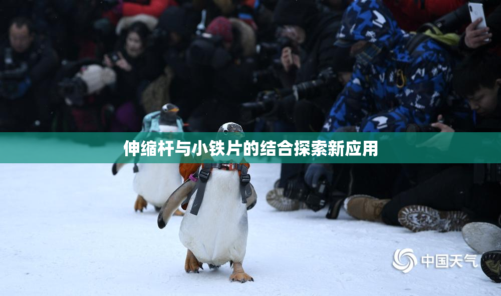 伸缩杆与小铁片的结合探索新应用