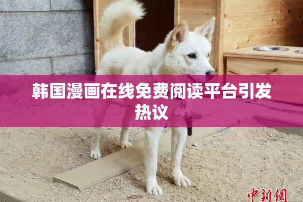 韩国漫画在线免费阅读平台引发热议