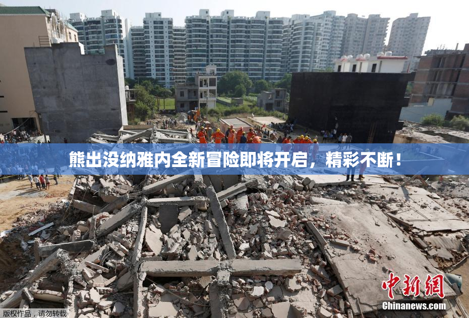 熊出没纳雅内全新冒险即将开启，精彩不断！