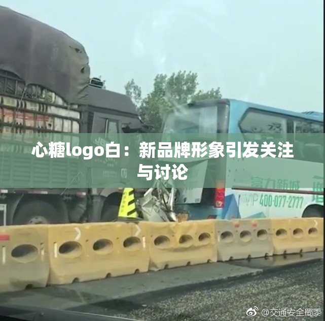 心糖logo白：新品牌形象引发关注与讨论