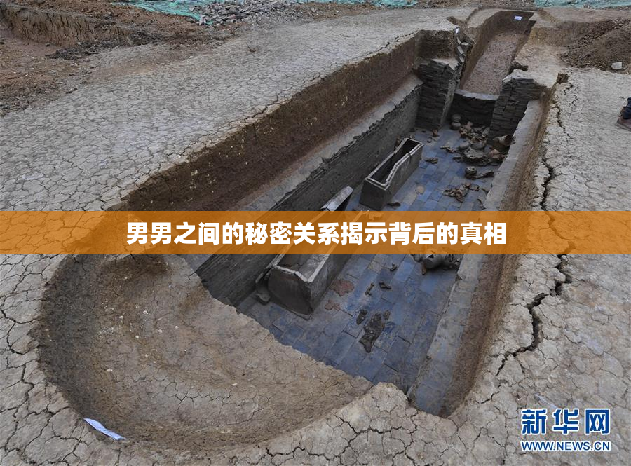 男男之间的秘密关系揭示背后的真相