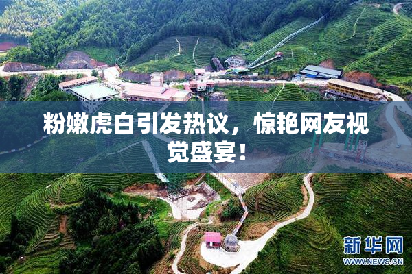粉嫩虎白引发热议，惊艳网友视觉盛宴！