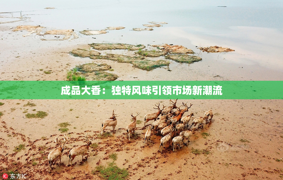 成品大香：独特风味引领市场新潮流
