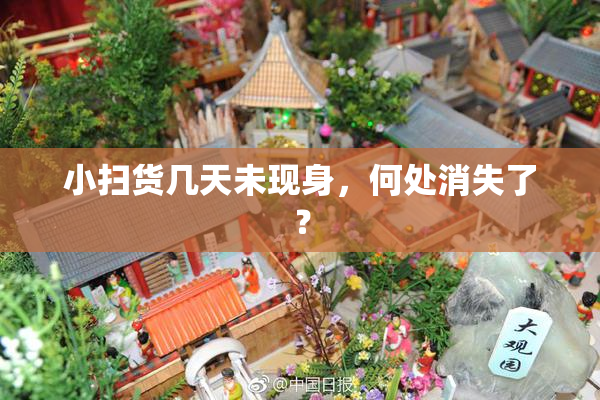 小扫货几天未现身，何处消失了？
