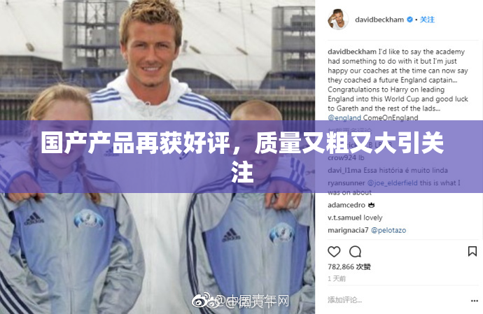 国产产品再获好评，质量又粗又大引关注