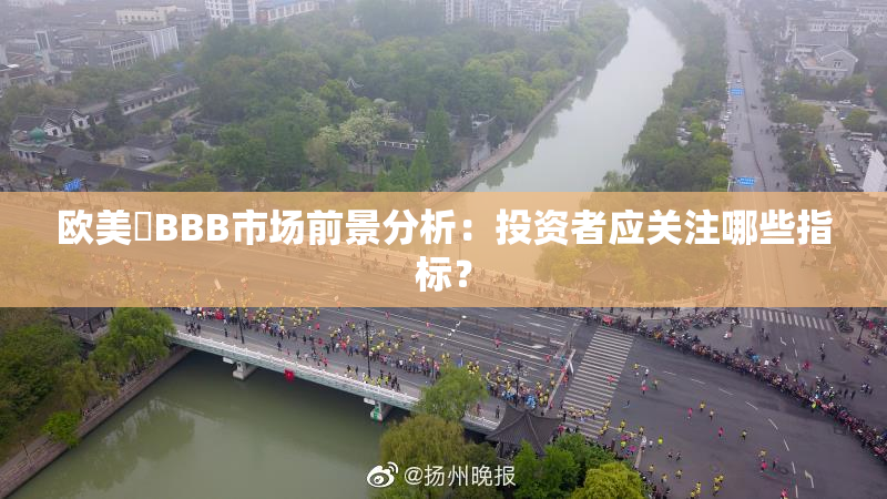 欧美槡BBB市场前景分析：投资者应关注哪些指标？