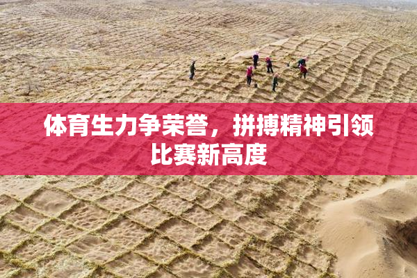 体育生力争荣誉，拼搏精神引领比赛新高度
