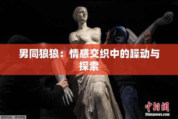 男同狼狼：情感交织中的躁动与探索