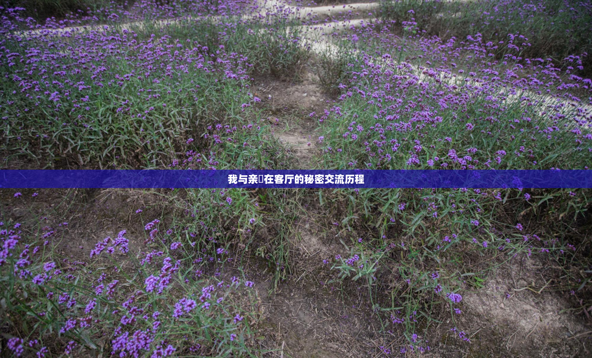 我与亲妺在客厅的秘密交流历程