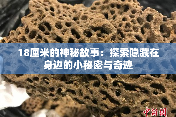 18厘米的神秘故事：探索隐藏在身边的小秘密与奇迹