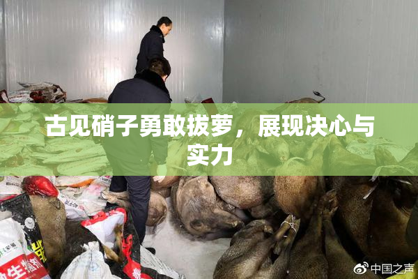 古见硝子勇敢拔萝，展现决心与实力