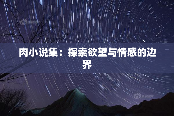 肉小说集：探索欲望与情感的边界
