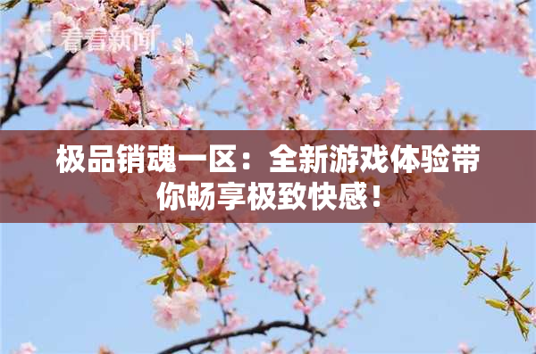 极品销魂一区：全新游戏体验带你畅享极致快感！