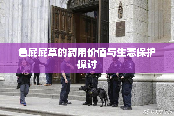 色屁屁草的药用价值与生态保护探讨