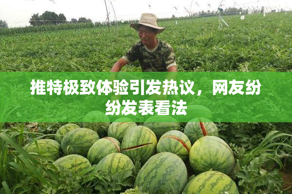 推特极致体验引发热议，网友纷纷发表看法