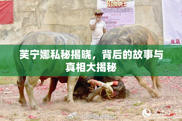 芙宁娜私秘揭晓，背后的故事与真相大揭秘