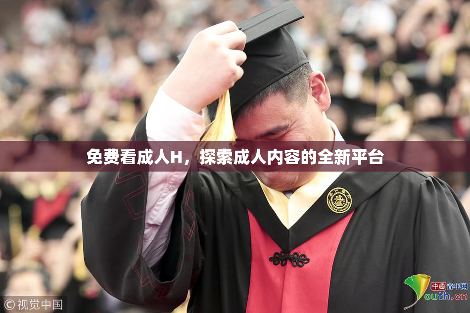免费看成人H，探索成人内容的全新平台