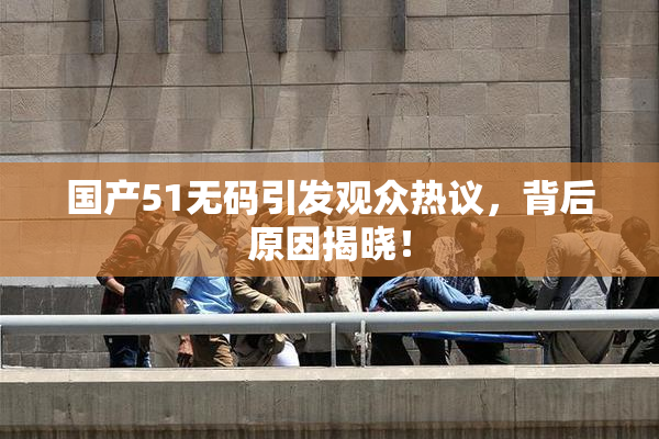 国产51无码引发观众热议，背后原因揭晓！