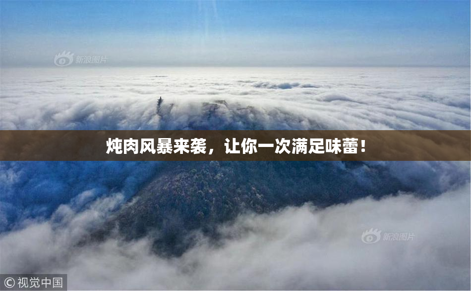 炖肉风暴来袭，让你一次满足味蕾！