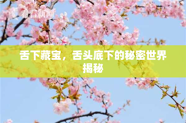 舌下藏宝，舌头底下的秘密世界揭秘