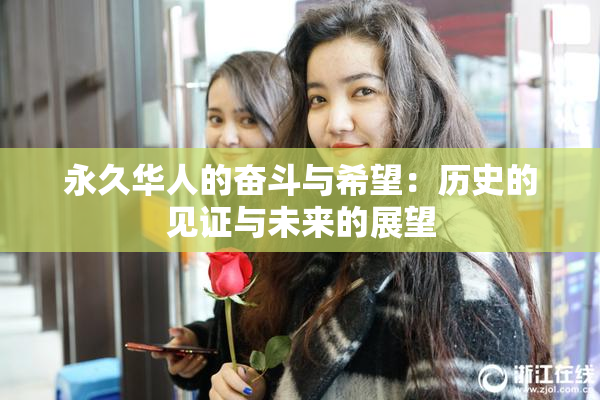 永久华人的奋斗与希望：历史的见证与未来的展望