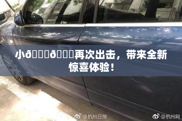 小🐔🐔再次出击，带来全新惊喜体验！