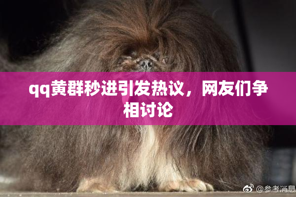 qq黄群秒进引发热议，网友们争相讨论
