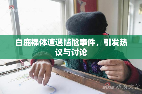 白鹿裸体遭遇尴尬事件，引发热议与讨论