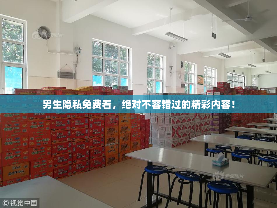 男生隐私免费看，绝对不容错过的精彩内容！