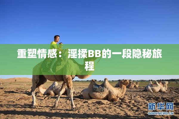 重塑情感：淫揉BB的一段隐秘旅程