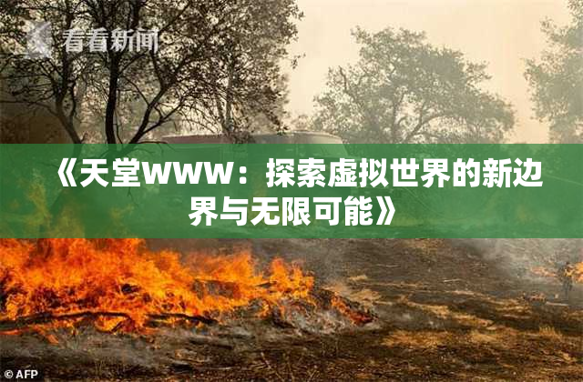 《天堂WWW：探索虚拟世界的新边界与无限可能》