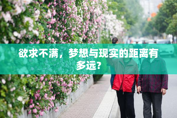 欲求不满，梦想与现实的距离有多远？