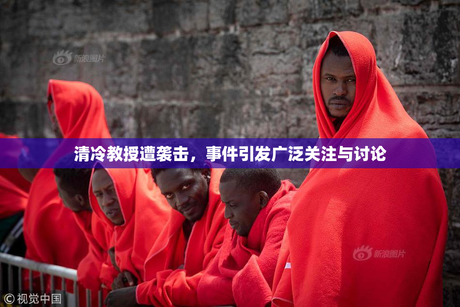 清冷教授遭袭击，事件引发广泛关注与讨论