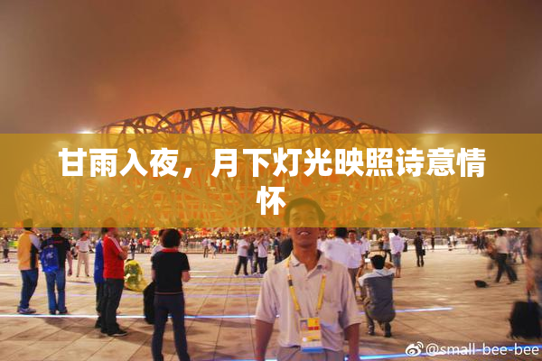 甘雨入夜，月下灯光映照诗意情怀