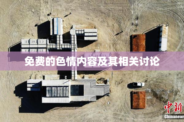 免费的色情内容及其相关讨论