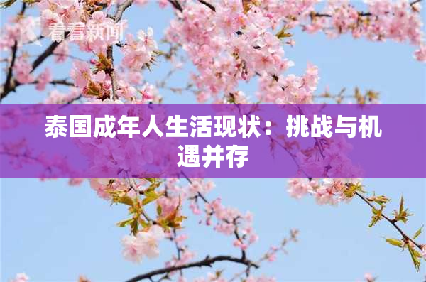 泰国成年人生活现状：挑战与机遇并存